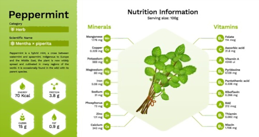 peppermint-tea-benefits